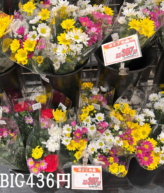 滋賀県湖南市のお墓参り代行のお花です