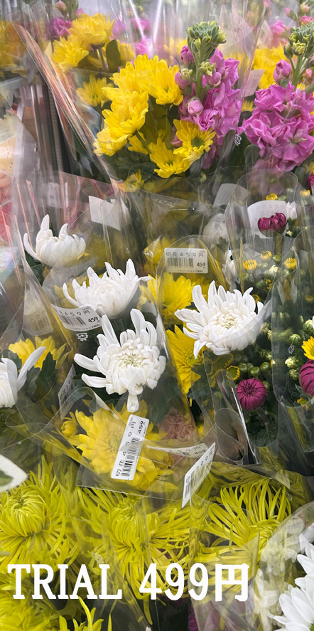 お墓参り代行のお花をTRIALにて購入